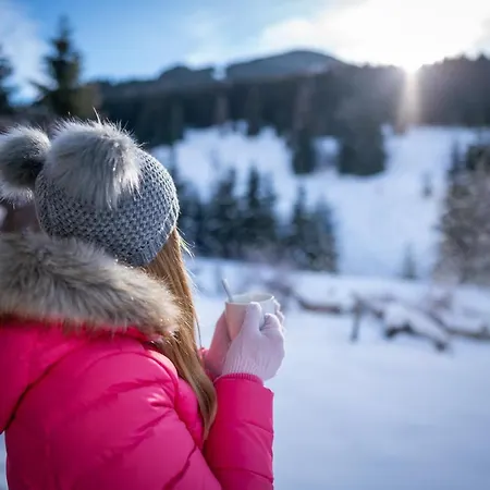 Ortners Mauerwirt - Leistbarer Luxus Appartement Bad Kleinkirchheim